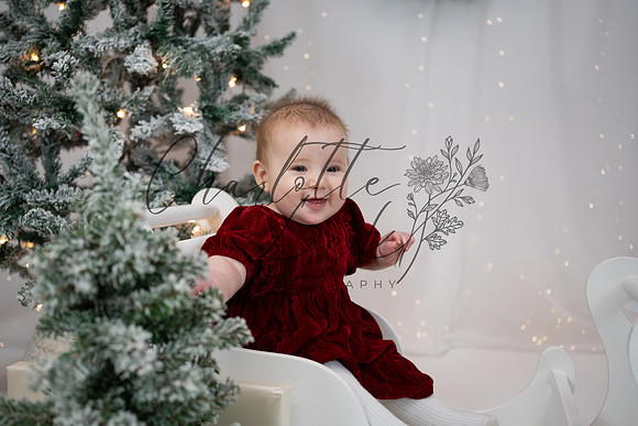 ChristmasMini2026-Kiaya-051