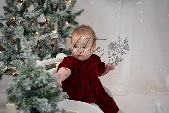 ChristmasMini2026-Kiaya-048